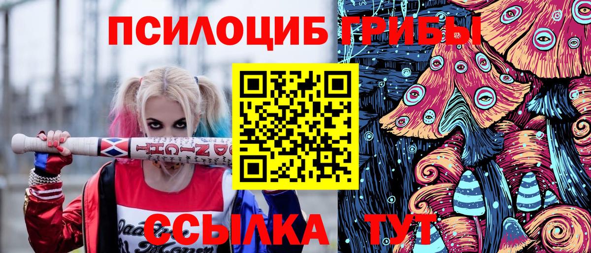 Галлюциногенные грибы Psilocybine cubensis Брянск